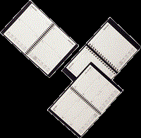 Calendar Year Diaries