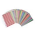 Avery 44538 Alpha Side Tab Colour Coding Labels Kit Pack 1080