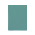 Diary Soho Spiral 41SSH A4 1 Day to a Page Sage Green 2027