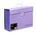 Colourhide 90023019J Expanding File PP Carry File Purple