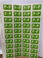Abax CSA Code Labels P