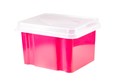 Italplast Storage 32L Watermelon