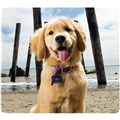 Mouse Pad 5916401 Recycled Puppy at Beach